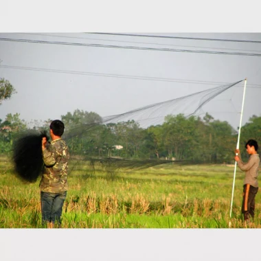 Lưới Bẫy Chim Sẻ, Chim Khuyên Thái Lan Cao 5m - Mắt Lưới 3p, Dài 10-50m, Giá Rẻ 82000đ 3 Lưới Bẫy Chim Sẻ, Chim Khuyên Thái Lan Cao 5m - Mắt Lưới 3p, Dài 10-50m, Giá Rẻ 82000đ 3