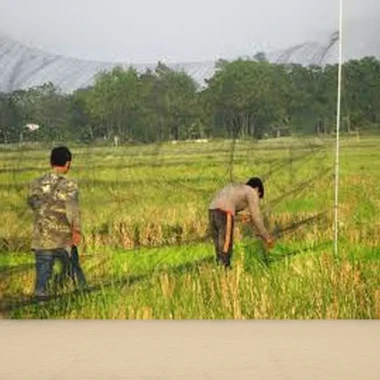 Lưới Bẫy Chim Sẻ, Chim Khuyên Thái Lan Cao 5m - Mắt Lưới 3p, Dài 10-50m, Giá Rẻ 82000đ 5 Lưới Bẫy Chim Sẻ, Chim Khuyên Thái Lan Cao 5m - Mắt Lưới 3p, Dài 10-50m, Giá Rẻ 82000đ 5