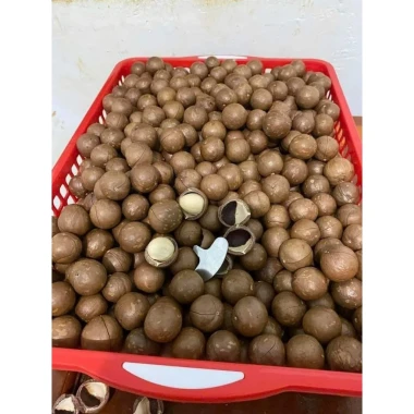Macca Đăk Lắc Sấy Ăn Liền Size Đại - Đậm Đà, Dinh Dưỡng, Giá Ưu Đãi 129.000 3