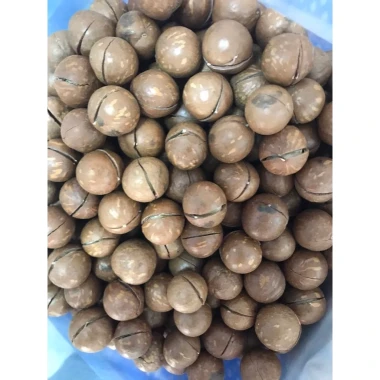Macca Đăk Lắc Sấy Ăn Liền Size Đại - Đậm Đà, Dinh Dưỡng, Giá Ưu Đãi 129.000 5