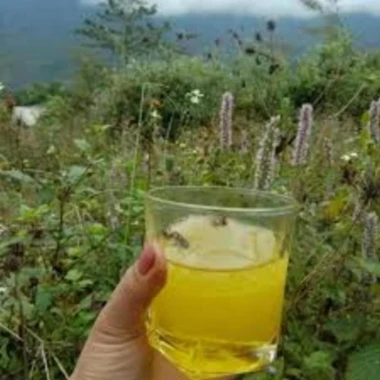 Mật Ong Hoa Bạc Hà Nguyên Chất 100% - 1L Khai Thác Tại Hà Giang Giá Tốt 61000đ 4