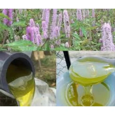 Mật Ong Hoa Bạc Hà Nguyên Chất 100% - 1L Khai Thác Tại Hà Giang Giá Tốt 61000đ 7