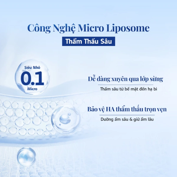 Hình ảnh sản phẩm Mediforcell Ampoule 100ml + Kem Dưỡng 100ml Siêu Cấp ẩm, Căng Bóng Da, Giá 640k