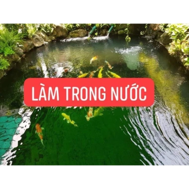 Men Vi Sinh Bio Fish Koi 1.000ml - Làm Trong nước, lọc nước cho bể cá, hồ cá Koi (Hàng Chính Hãng) 4