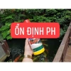 Men Vi Sinh Bio Fish Koi 1.000ml - Làm Trong nước, lọc nước cho bể cá, hồ cá Koi (Hàng Chính Hãng) 5