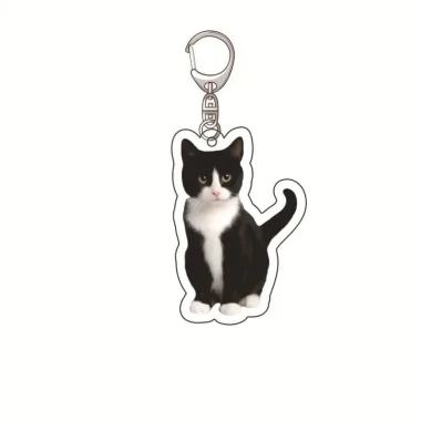Mèo Bác Sĩ Cô Y Tá Chuột Bệnh Nhân Mặt Biểu Cảm Sợ Hãi Món Đẹp Cài Ba Lô Giá Sỉ 20085đ 5 Mèo Bác Sĩ Cô Y Tá Chuột Bệnh Nhân Mặt Biểu Cảm Sợ Hãi Món Đẹp Cài Ba Lô Giá Sỉ 20085đ 5
