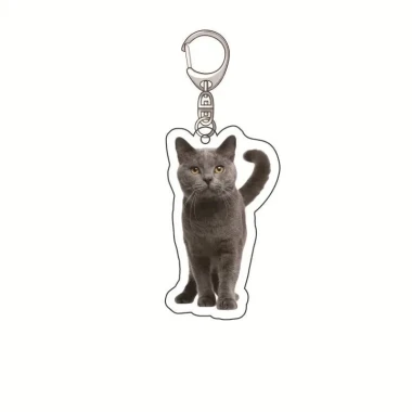 Mèo Bác Sĩ Cô Y Tá Chuột Bệnh Nhân Mặt Biểu Cảm Sợ Hãi Món Đẹp Cài Ba Lô Giá Sỉ 20085đ 10 Mèo Bác Sĩ Cô Y Tá Chuột Bệnh Nhân Mặt Biểu Cảm Sợ Hãi Món Đẹp Cài Ba Lô Giá Sỉ 20085đ 10