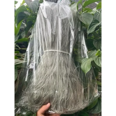 Miến Dong Điện Biên 1kg Giá Sỉ - Giảm 54000 VND - Đặc Sản Tươi Ngon 3 Miến Dong Điện Biên 1kg Giá Sỉ - Giảm 54000 VND - Đặc Sản Tươi Ngon 3