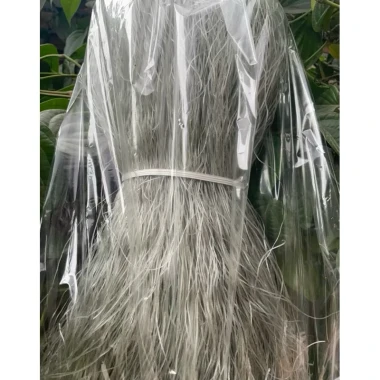 Miến Dong Điện Biên 1kg Giá Sỉ - Giảm 54000 VND - Đặc Sản Tươi Ngon 11 Miến Dong Điện Biên 1kg Giá Sỉ - Giảm 54000 VND - Đặc Sản Tươi Ngon 11