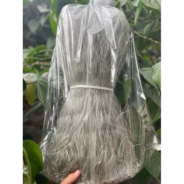 Miến Dong Điện Biên 1kg Giá Sỉ - Giảm 54000 VND - Đặc Sản Tươi Ngon 17 Miến Dong Điện Biên 1kg Giá Sỉ - Giảm 54000 VND - Đặc Sản Tươi Ngon 17