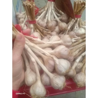 Miễn Đông Phía Đến Cao Bằng Giá Rẻ 100k - Giảm 20% Còn 100000 VND 4 Miễn Đông Phía Đến Cao Bằng Giá Rẻ 100k - Giảm 20% Còn 100000 VND 4