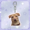 Móc Khóa Chó Mèo Cheems Chibi Anime Đáng Yêu - Quà Tặng Xinh Xắn Giá Rẻ 14900 Vnđ 40