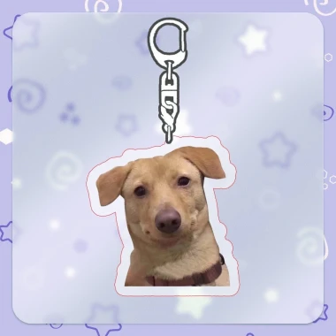 Móc Khóa Chó Mèo Cheems Chibi Anime Đáng Yêu - Quà Tặng Xinh Xắn Giá Rẻ 14900 Vnđ 40 Móc Khóa Chó Mèo Cheems Chibi Anime Đáng Yêu - Quà Tặng Xinh Xắn Giá Rẻ 14900 Vnđ 40