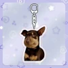 Móc Khóa Chó Mèo Cheems Chibi Anime Đáng Yêu - Quà Tặng Xinh Xắn Giá Rẻ 14900 Vnđ 43