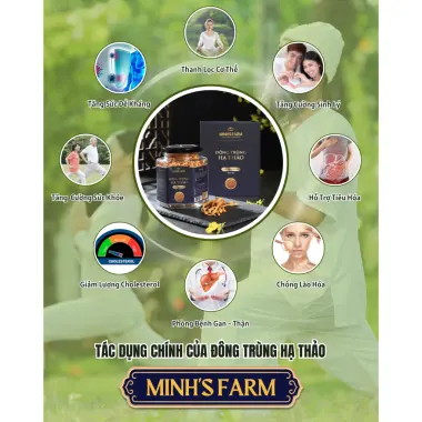 [MUA 2 TẶNG 1] Đông Trùng Hạ Thảo Khô Sấy Thăng Hoa Minh's Farm - Hộp 35g (Loại Thượng Hạng) 4