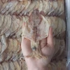 Mực Khô Vũng Tàu Giá Rẻ - Mực Khô Chất Lượng Cao 2
