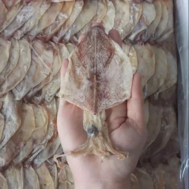 Mực Khô Vũng Tàu Giá Rẻ - Mực Khô Chất Lượng Cao 2 Mực Khô Vũng Tàu Giá Rẻ - Mực Khô Chất Lượng Cao 2