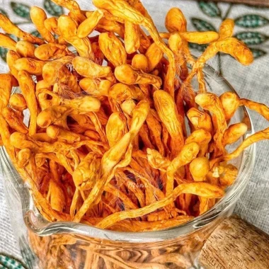 Nấm Đông Trùng Hạ Thảo Nguyên Cây Sấy Khô Cao Cấp - Giảm Giá Chỉ 42000đ - Hamifoods 8 Nấm Đông Trùng Hạ Thảo Nguyên Cây Sấy Khô Cao Cấp - Giảm Giá Chỉ 42000đ - Hamifoods 8