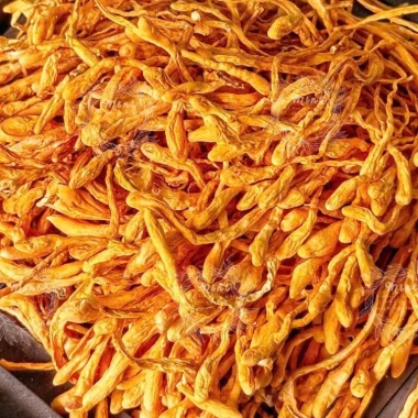 Nấm Đông Trùng Hạ Thảo Nguyên Cây Sấy Khô Cao Cấp - Giảm Giá Chỉ 42000đ - Hamifoods 9 Nấm Đông Trùng Hạ Thảo Nguyên Cây Sấy Khô Cao Cấp - Giảm Giá Chỉ 42000đ - Hamifoods 9