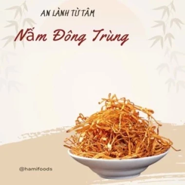 Nấm Đông Trùng Hạ Thảo Nguyên Cây Sấy Khô Cao Cấp - Giảm Giá Chỉ 42000đ - Hamifoods 10 Nấm Đông Trùng Hạ Thảo Nguyên Cây Sấy Khô Cao Cấp - Giảm Giá Chỉ 42000đ - Hamifoods 10