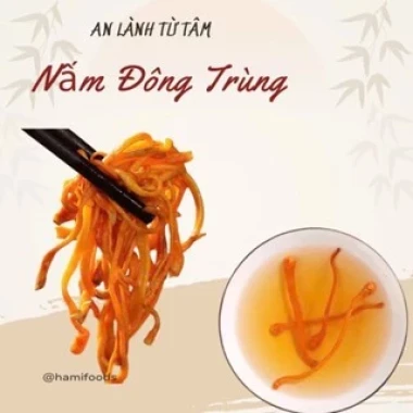 Nấm Đông Trùng Hạ Thảo Nguyên Cây Sấy Khô Cao Cấp - Giảm Giá Chỉ 42000đ - Hamifoods 11 Nấm Đông Trùng Hạ Thảo Nguyên Cây Sấy Khô Cao Cấp - Giảm Giá Chỉ 42000đ - Hamifoods 11