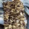 Nấm Hương Rừng Giảm Giá - Chỉ 135000đ/KG, Tiết Kiệm 32.400đ, Mua Ngay! 2