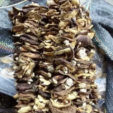 Nấm Hương Rừng Giảm Giá - Chỉ 135000đ/KG, Tiết Kiệm 32.400đ, Mua Ngay! 2