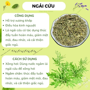Ngải cứu khô hữu cơ nguyên lá Xanh thơm sạch làm gối ngải cứu ngâm chân xông giải cảm, điều kinh NC Thảo Dược Anam 2