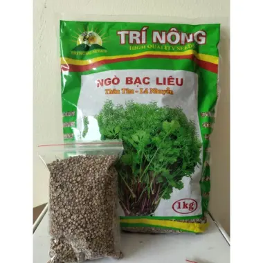 Ngò Tím Bạc Liêu Siêu Thơm - 0.5 Lạng - Giá Tốt 10.000Đ (Giảm từ 12.100Đ) 2