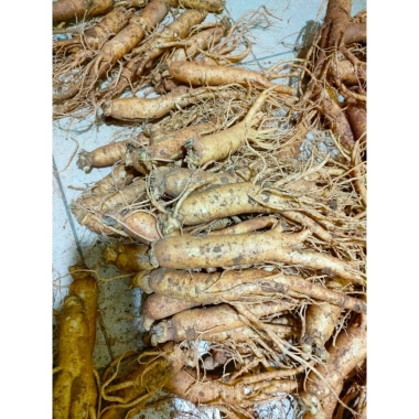 Nhân Sâm Gẫy Rễ Chuẩn HÀN QUỐC - INSAM. Loại Gãy Rễ 10 Củ 1 kilogram 6