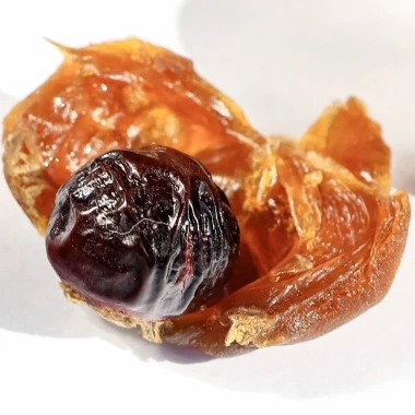 Nhãn Sấy Khô Nguyên Vỏ 500g - Thơm Ngon, Bổ Dưỡng, Giá Chỉ 45k Túi 5 Nhãn Sấy Khô Nguyên Vỏ 500g - Thơm Ngon, Bổ Dưỡng, Giá Chỉ 45k Túi 5