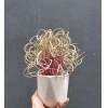 Nhang Bắc Cuốn Tàn Thơm Thảo Dược Quảng Ninh Giảm 20% - Thẻ Hương Bài Chất Lượng Cao 4