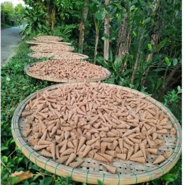 Nhang Nụ Quế Huế Xưa - Xông Nhà, Thiền Yoga, Tăng Vượng Khí chỉ 8000đ/hộp 34 nụ 8 Nhang Nụ Quế Huế Xưa - Xông Nhà, Thiền Yoga, Tăng Vượng Khí chỉ 8000đ/hộp 34 nụ 8