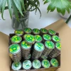 Nhang Nụ viên VĨNH THUẬN PHÁT - HÀNG CHÍNH NGHẠCH XUẤT KHẨU 5