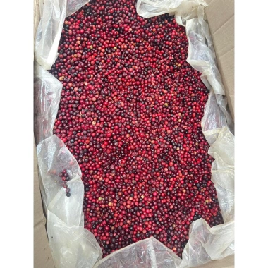 Nho rừng thân gỗ 1kg - Giá giảm chỉ 135k, tươi ngon giàu chất dinh dưỡng 4