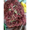 Nho rừng thân gỗ 1kg - Giá giảm chỉ 135k, tươi ngon giàu chất dinh dưỡng 5