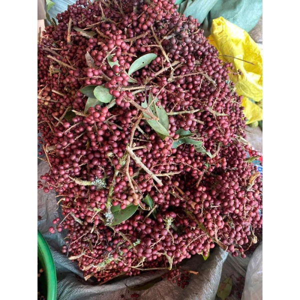 Gợi ý cách thưởng thức nho rừng thân gỗ khô trong các món ăn vặt và công thức đơn giản