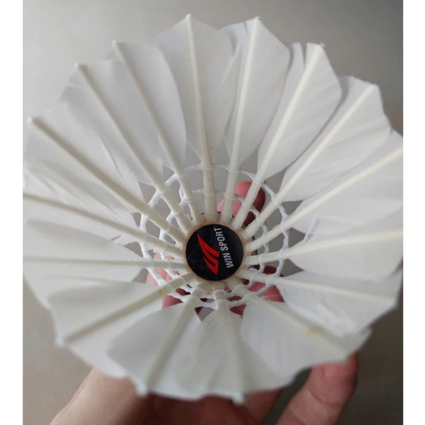 Hình ảnh sản phẩm Ống cầu lông WinSport PRO – Hộp 12 quả chính hãng, khuyến mãi 155.000đ