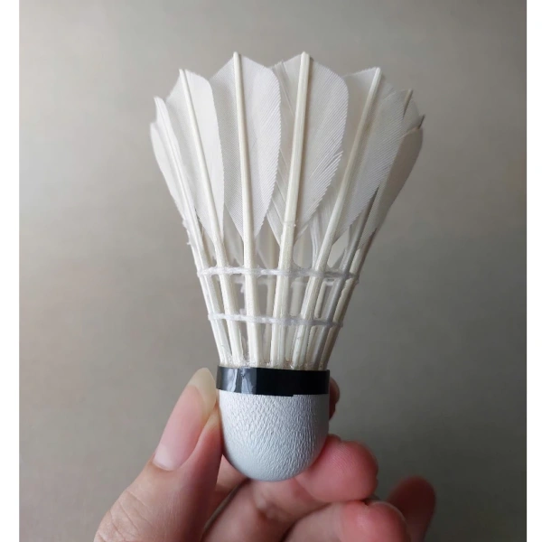 Đánh giá chi tiết Ống cầu lông WinSport PRO – Đặc điểm kỹ thuật và chất lượng bóng