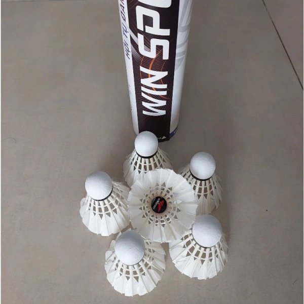 Kinh nghiệm lựa chọn 12 quả Ống cầu lông WinSport PRO cho sân trong và sân ngoài