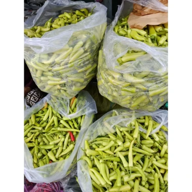 Ớt Xanh Huế Chính Gốc 1kg - Thơm Cay Giòn, Đặc Sản Huế, Giá Chỉ 45k 9 Ớt Xanh Huế Chính Gốc 1kg - Thơm Cay Giòn, Đặc Sản Huế, Giá Chỉ 45k 9