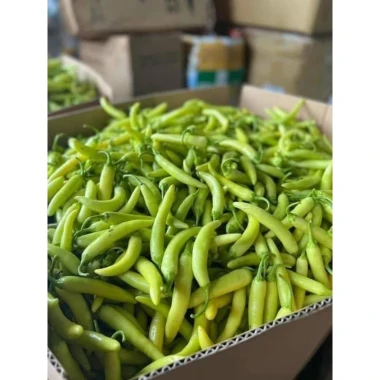Ớt Xanh Huế Chính Gốc 1kg - Thơm Cay Giòn, Đặc Sản Huế, Giá Chỉ 45k 11 Ớt Xanh Huế Chính Gốc 1kg - Thơm Cay Giòn, Đặc Sản Huế, Giá Chỉ 45k 11