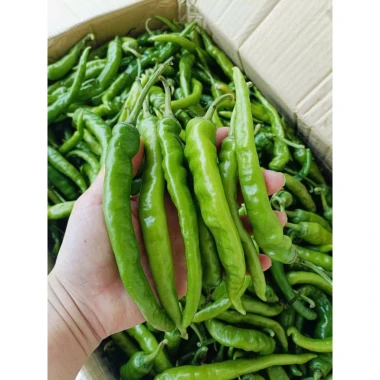 Ớt Xanh Huế Chính Gốc 1kg - Thơm Cay Giòn, Đặc Sản Huế, Giá Chỉ 45k 14 Ớt Xanh Huế Chính Gốc 1kg - Thơm Cay Giòn, Đặc Sản Huế, Giá Chỉ 45k 14