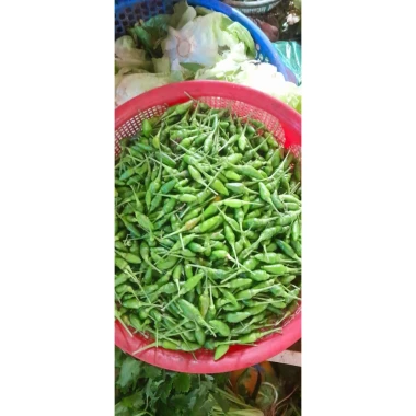 Ớt Xanh Huế Chính Gốc 1kg - Thơm Cay Giòn, Đặc Sản Huế, Giá Chỉ 45k 17 Ớt Xanh Huế Chính Gốc 1kg - Thơm Cay Giòn, Đặc Sản Huế, Giá Chỉ 45k 17