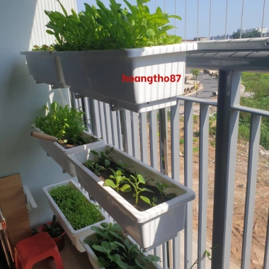 Phân bò khô Tribat hữu cơ hoai mục xử lý - Trồng rau, hoa, cải, tảo 3dm3 giá 28.600đ 6 Phân bò khô Tribat hữu cơ hoai mục xử lý - Trồng rau, hoa, cải, tảo 3dm3 giá 28.600đ 6