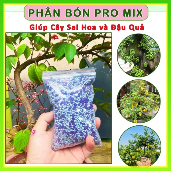Hướng dẫn bón Phân dinh dưỡng Promix 200g cho cây hoa và rau quả mùa xuân