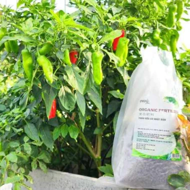 Phân Gà Hữu Cơ Nhật Bản 1Kg - Chế độ dinh dưỡng cho chanh ớt cây ăn quả giá rẻ chỉ 50k 4 Phân Gà Hữu Cơ Nhật Bản 1Kg - Chế độ dinh dưỡng cho chanh ớt cây ăn quả giá rẻ chỉ 50k 4