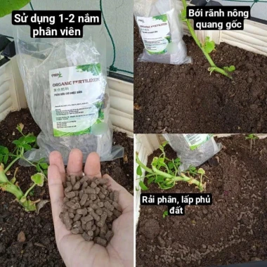 Phân Gà Hữu Cơ Nhật Bản 1Kg - Chế độ dinh dưỡng cho chanh ớt cây ăn quả giá rẻ chỉ 50k 5 Phân Gà Hữu Cơ Nhật Bản 1Kg - Chế độ dinh dưỡng cho chanh ớt cây ăn quả giá rẻ chỉ 50k 5