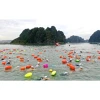 Phao Bơi Túi Khô Chống Nước Naturehike NH17S001-G Giảm 20% - Mua Chỉ 330k 3
