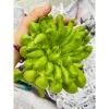 Phật thủ tươi Hà Nội - Giảm giá còn 105000đ. Mua 1 quả ưu đãi hỏa tốc 6
